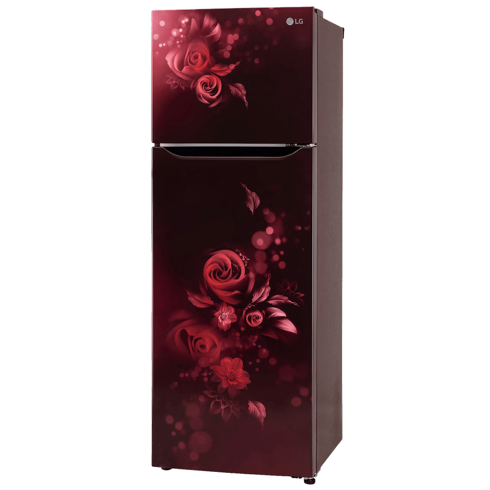 buy-lg-242-litres-2-star-frost-free-double-door-refrigerator-with-anti